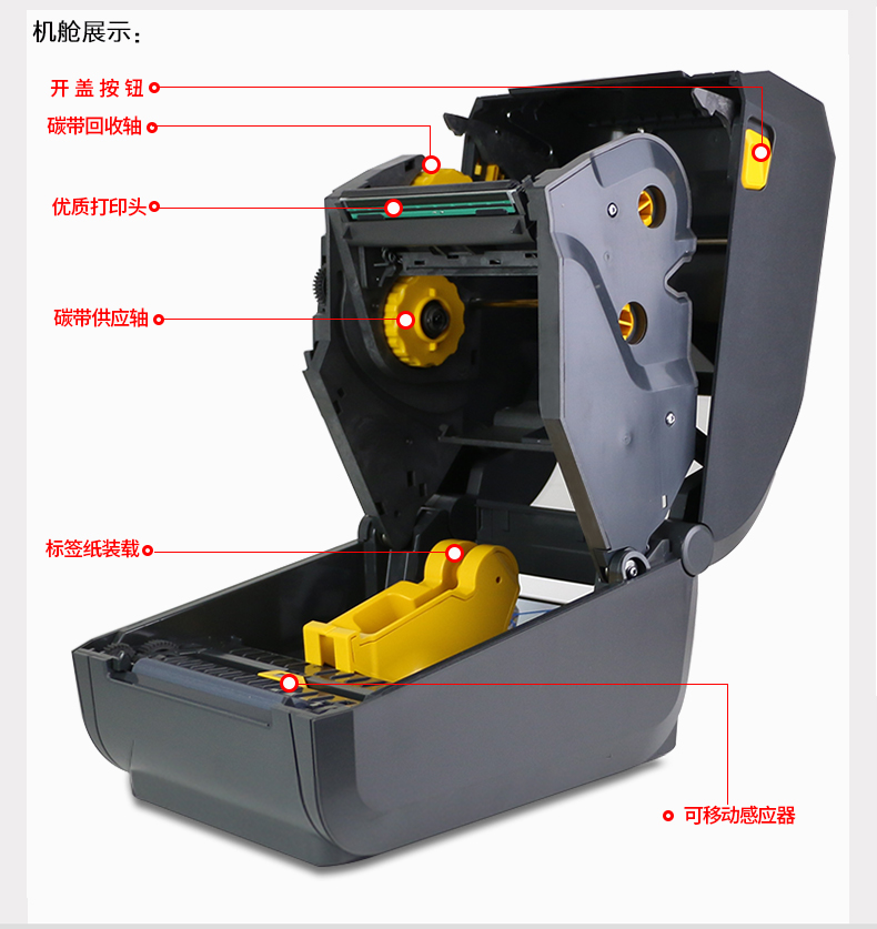 zd888_11.jpg